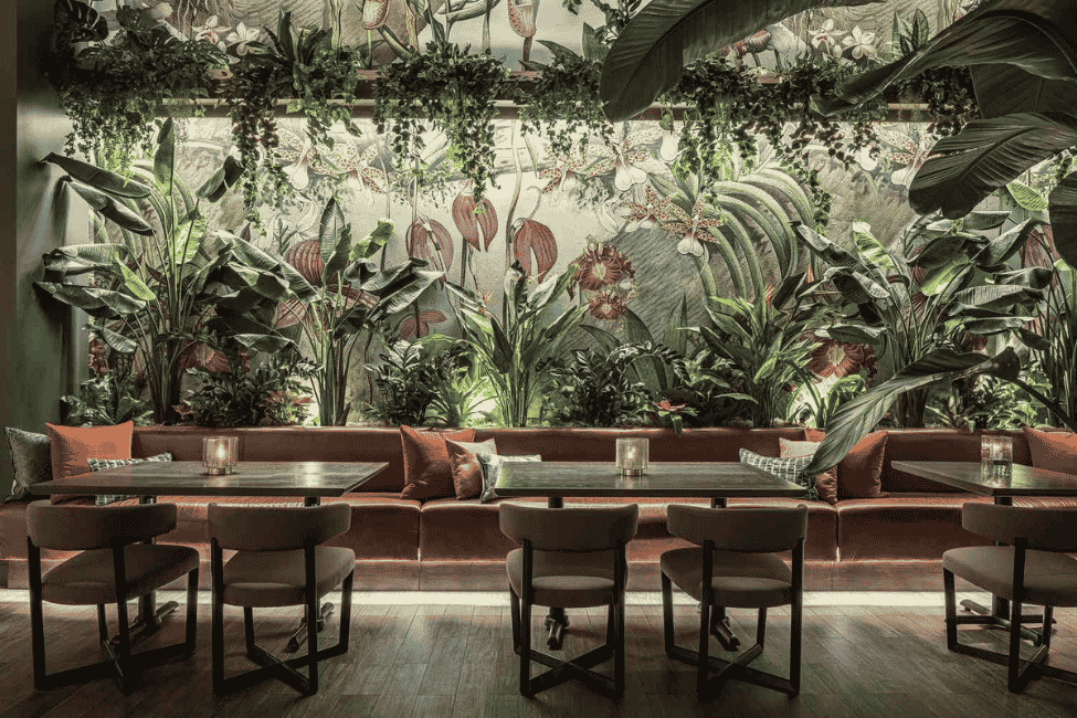 Top 10 Best Ambiance Restaurant in Shamshabad